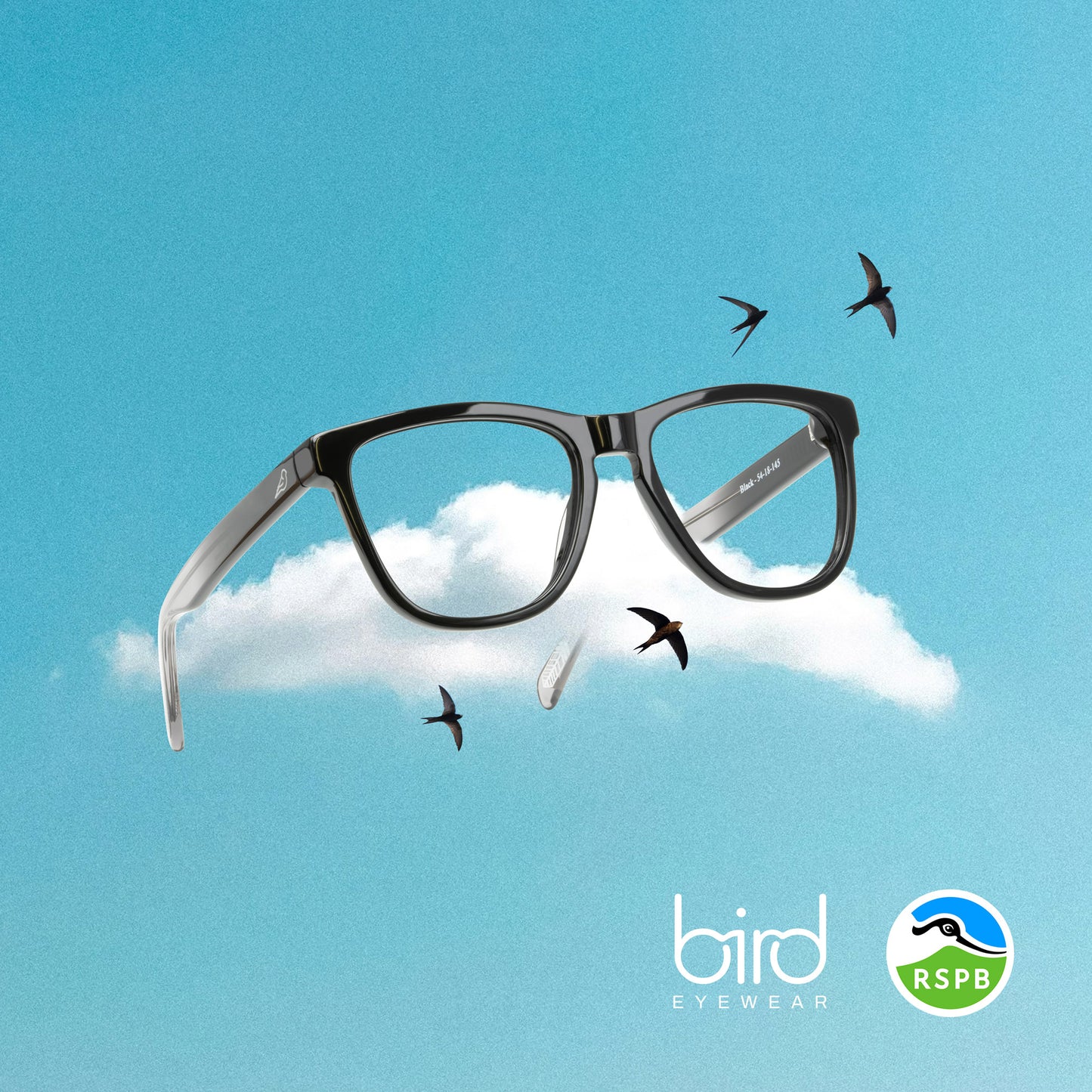 Swift | Bird x RSPB