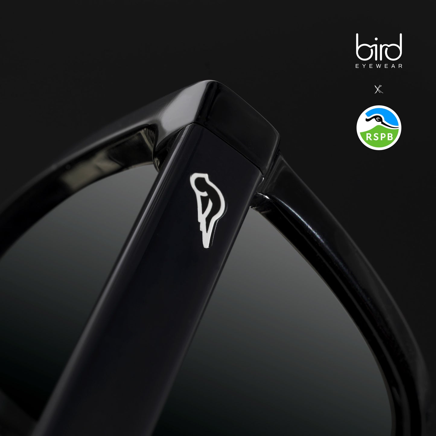 Swift | Bird x RSPB