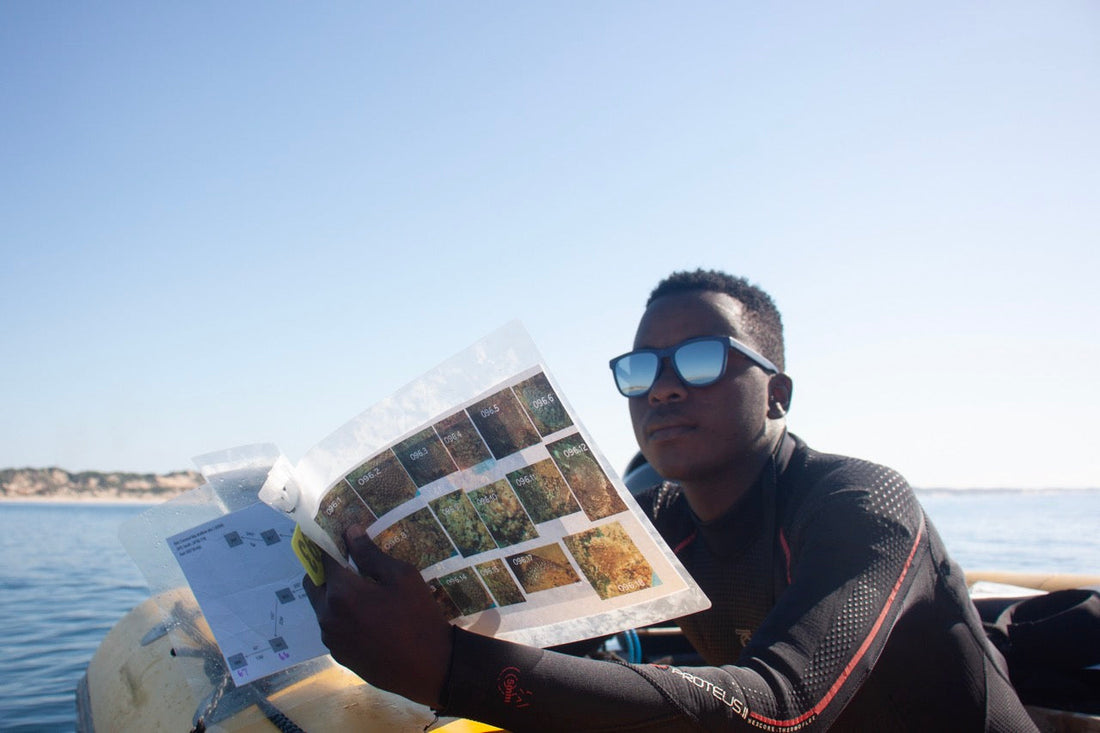 Protecting Oceans Together: Bird Eyewear x Love the Oceans