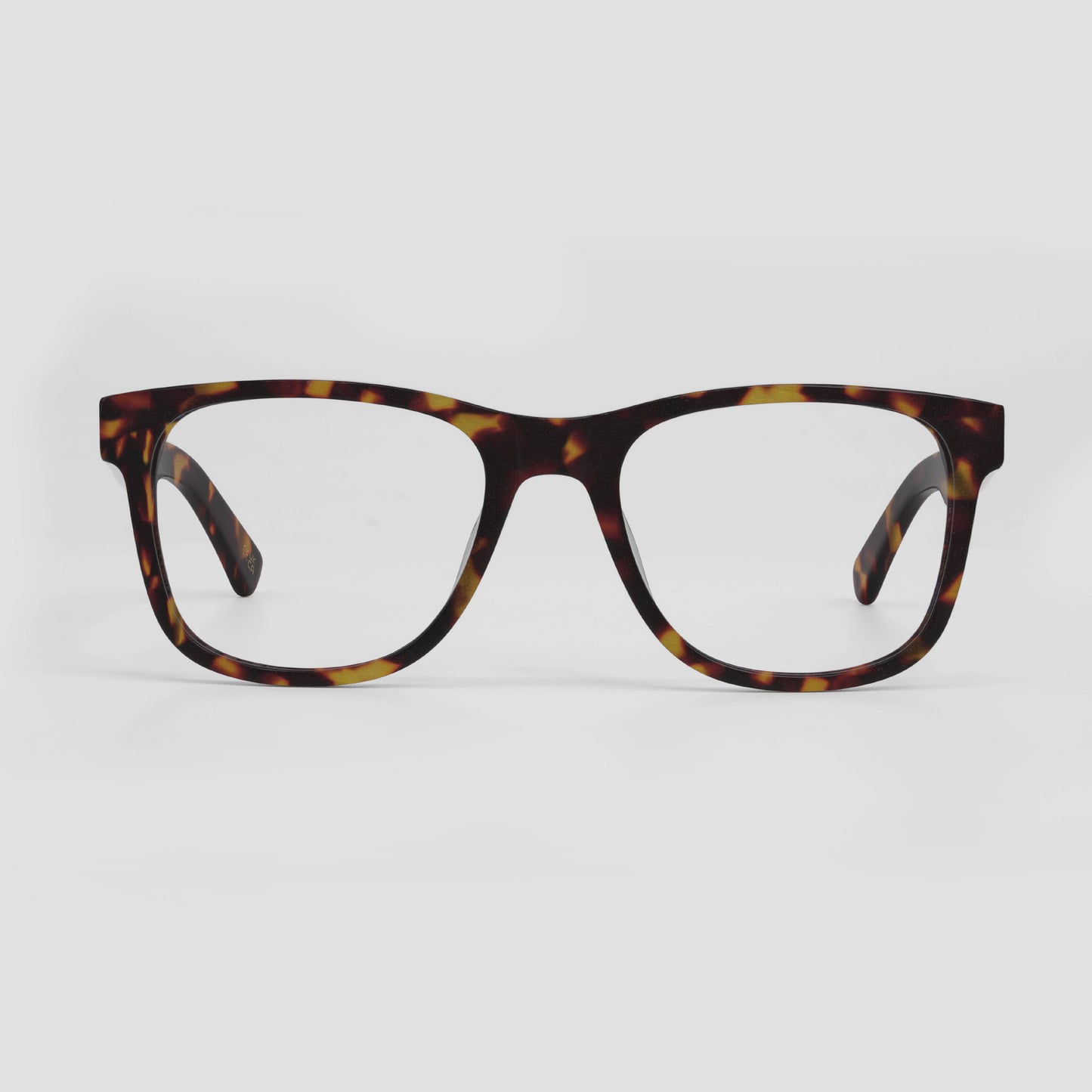 Otus Tortoiseshell