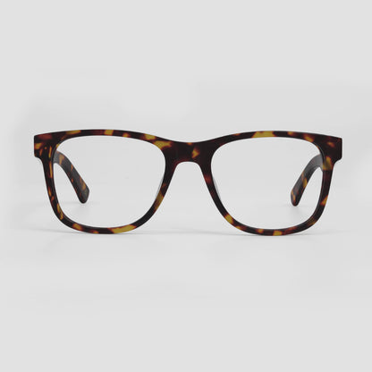 Otus Tortoiseshell